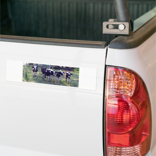 Moooooo Bumpersticker (Op Truck)