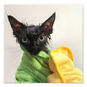 Moop, na het bad foto afdruk