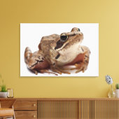 Moor Frog - Rana arvalis Canvas Afdruk (Insitu (Woonkamer))