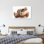Moor Frog - Rana arvalis Canvas Afdruk (Insitu (Slaapkamer))