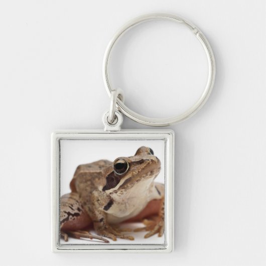 Moor Frog - Rana arvalis Sleutelhanger (Voorkant)