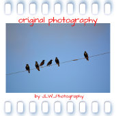 Moord op de Kroes Silhouette Mystery Lover Mok