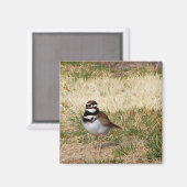 Moordenaar vogelmagneet magneet (Voorkant / Achterkant)