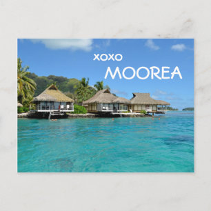 Moorea bungalows with text: 'xoxo Moorea' postcard Briefkaart