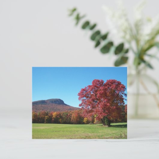 Moore's Knob in Hanging Rock State Park Briefkaart (Staand voorkant)