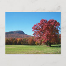 Moore's Knob in Hanging Rock State Park