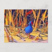 Moorhen Briefkaart (Voorkant)