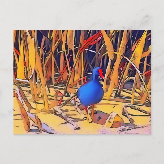 Moorhen Briefkaart (Voorkant)