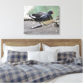 Moorhen Canvas afdrukken (Insitu (Slaapkamer))