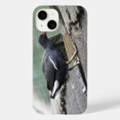 Moorhen Case-Mate iPhone Case (Achterkant)