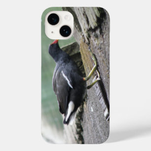 Moorhen Case-Mate iPhone Case