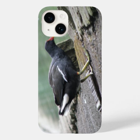 Moorhen Case-Mate iPhone Case (Achterkant)