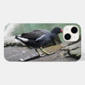 Moorhen Case-Mate iPhone Case (Achterkant (horizontaal))