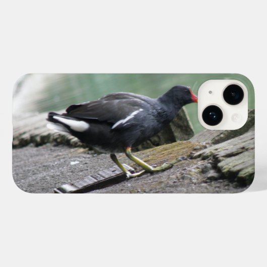 Moorhen Case-Mate iPhone Case (Achterkant (horizontaal))