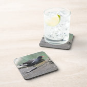 Moorhen Cork Onderzetter (Rechterzijde)