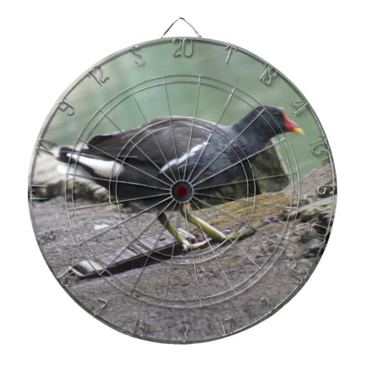 Moorhen Dart Board Dartbord (Voorkant)