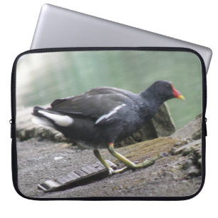 Moorhen Laptop Bag Sleeve