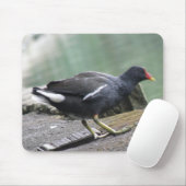Moorhen Mousepad Muismat (Met muis)