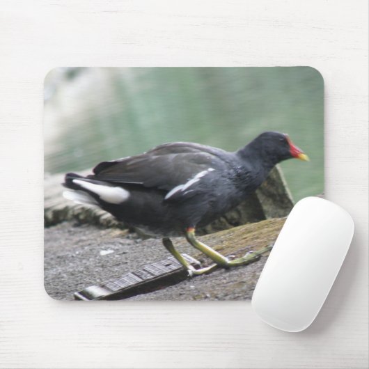 Moorhen Mousepad Muismat (Met muis)