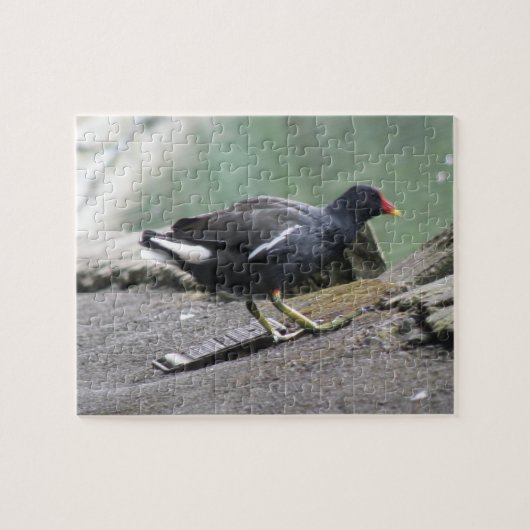 Moorhen Puzzel (Horizontaal)