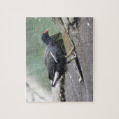 Moorhen Puzzel (Verticaal)