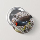 Moorhen Ronde Button 5,7 Cm (Voorkant /achterkant)