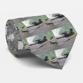 Moorhen Stropdas (Opgerold)