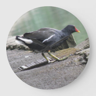 Moorhen Wall Clock Grote Klok