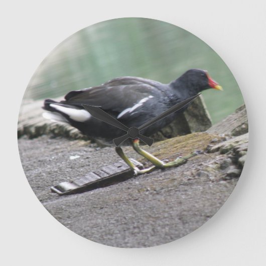 Moorhen Wall Clock Grote Klok (Voorkant)