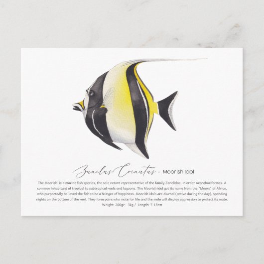 Moorish Idol Briefkaart (Voorkant)