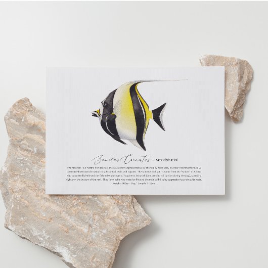 Moorish Idol Briefkaart
