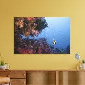 Moorish Idol Canvas Afdruk (Insitu (Woonkamer))