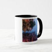 Moorish Idol Mok (Voorkant rechts)