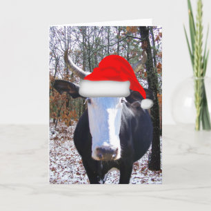 Moorry Kerstmis van Funny Heifer Koe Card Feestdagen Kaart