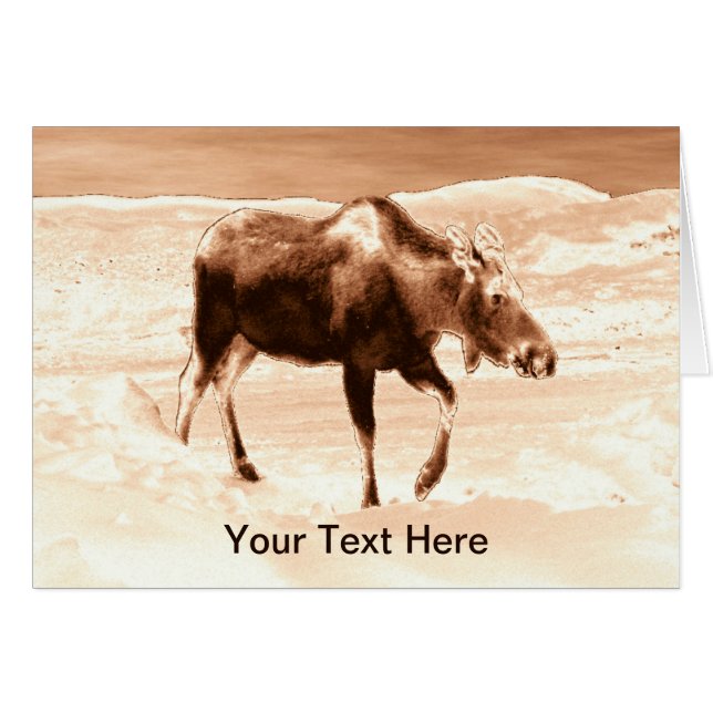 Moose (Voorkant Horizontaal)