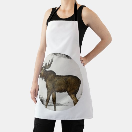 Moose - Alces Alces Schort (Insitu)