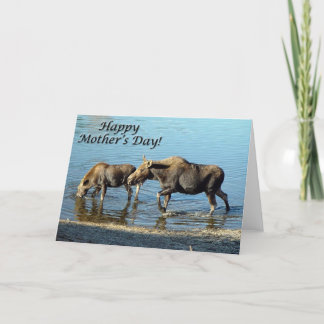 Moose and Calf "Happy Moederdag" Kaart
