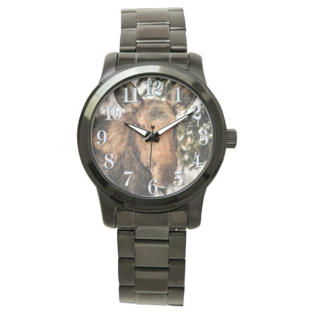 Moose and Green Branches Wildlife watch Horloge (Voorkant)