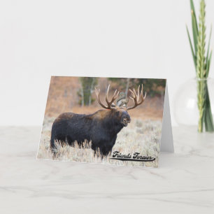 Moose and Squirrel "Friends Forever" Greeting Card Kaart