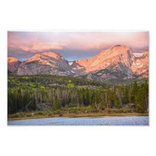 Moose and Tourists at Sprague Lake, Colorado Foto Afdruk