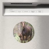 Moose Animal Forest Peace Destiny Magneet (Insitu (Vaatwasser))
