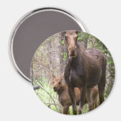 Moose Animal Forest Peace Destiny Magneet (Voorkant / Achterkant)