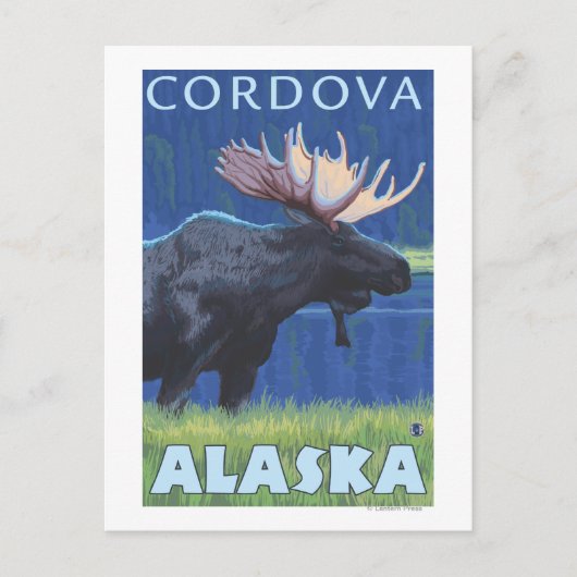 Moose at Night - Cordova, Alaska Briefkaart (Voorkant)
