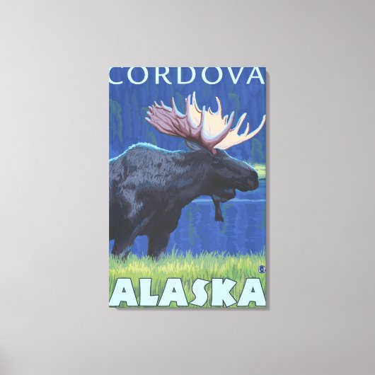 Moose at Night - Cordova, Alaska Canvas Afdruk (Voorkant)