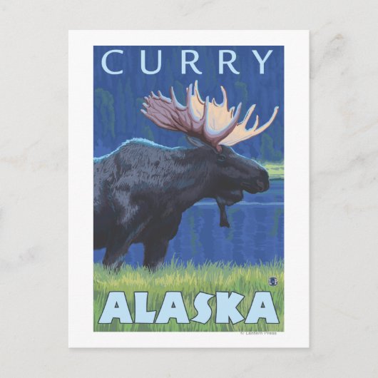 Moose at Night - Curry, Alaska Briefkaart (Voorkant)