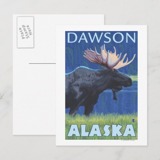 Moose at Night - Dawson, Alaska Briefkaart (Voorkant / Achterkant)