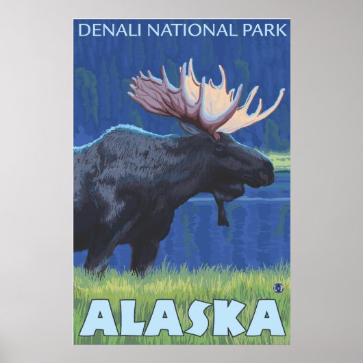 Moose at Night - Denali Nat'l Park, Alaska Poster (Voorkant)