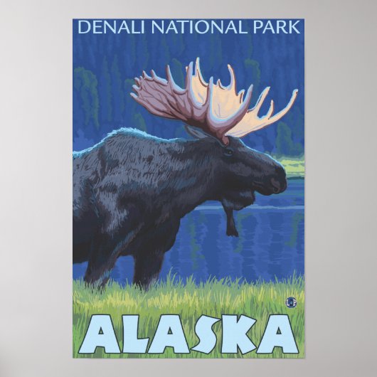 Moose at Night - Denali Nat'l Park, Alaska Poster (Voorkant)