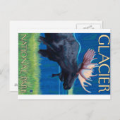 Moose at Night - Glacier National Park, MT Briefkaart (Voorkant / Achterkant)