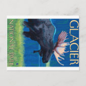 Moose at Night - Glacier National Park, MT Briefkaart (Voorkant)